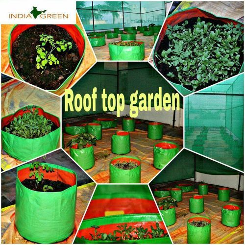 Organic Rooftop Garden
