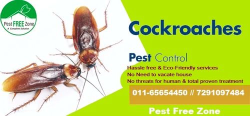 Pest Control Service