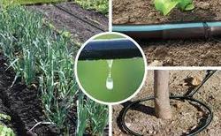 Drip Irrigation Systems