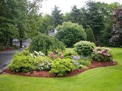 Residential Landscape Design Services