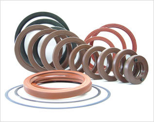 Oil Seal and O Ring