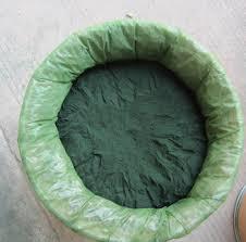 Spirulina Tablet