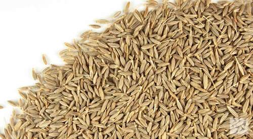 Cumin Seeds