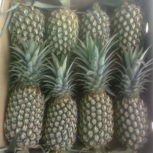 FreshA PineappleA Fruits