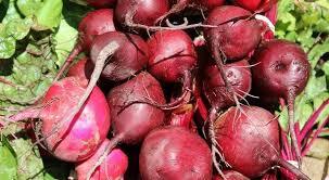 Fresh Beetroot