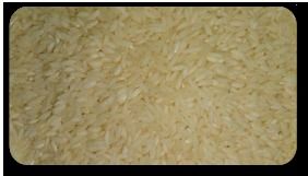 non basmati rice