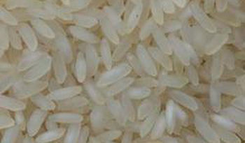 Ponni Rice