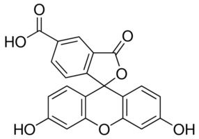 Fluorescent Reagent