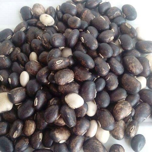 Mucuna Prurien Seed