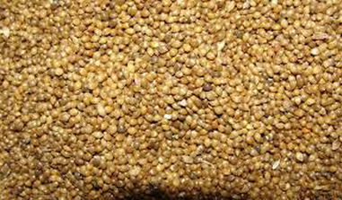 Quality Millet