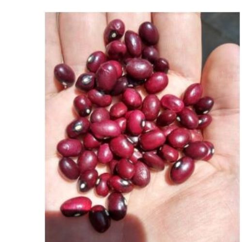 Red Beans - High Iron Content, Boosts Energy and Metabolism | Improves Oxygen Circulation