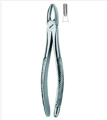  Tooth Extracting Forceps - Incisors And Cuspids 