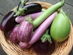 Fresh Green Brinjal