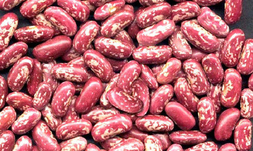 Red Speckled Kidney Beans - High Iron Content, Boosts Energy and Metabolism, Supports Oxygen Circulation