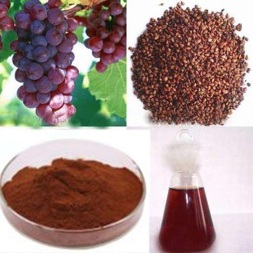 Grape Seed Extract Grade: Standard