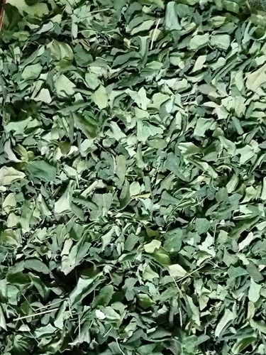 Dried Moringa Leaves