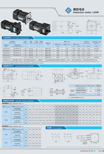 120W Induction Motor