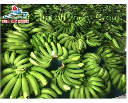 Fresh Cavendish Banana