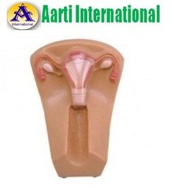 Iud Training Model