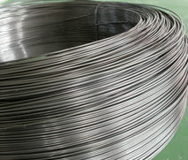 Stainless Steel Wire