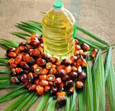 High Grade Palm Oil