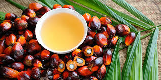 Palm Oils