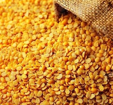 Toor Dal - Whole Form, Rich Taste and High Nutritional Value | Superior Quality Seeds and Modern Cultivation Techniques  