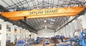 Double Girder EOT Crane