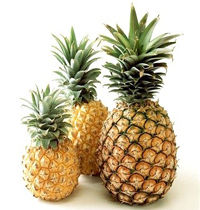 Fresh Pineapples