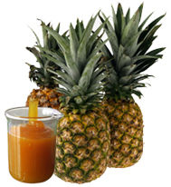 Pineapple Pulp