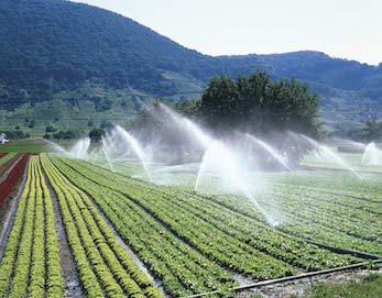 Sprinkler and Drip Irrigation Systems