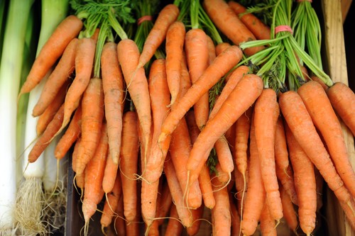 Fresh Carrot By VietDelta