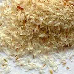 Best Quality Psyllium Husks Size: Standard