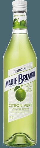 Marie Brizard Mojito Mint Syrup