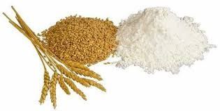 Organic Soft Wheat Flour