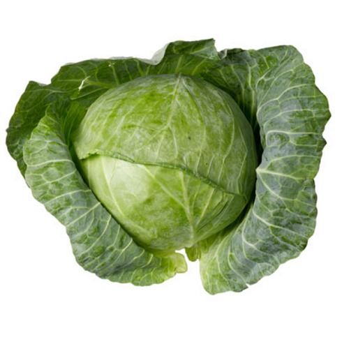 Fresh Cabbage