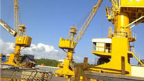 Bulk Handling Cranes