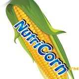 American Sweet Corn Kernel