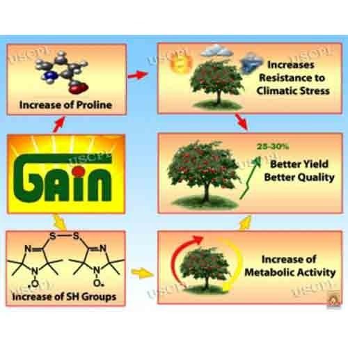 Plant Growth Regulators (GAIN)
