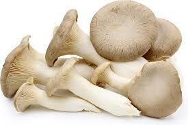 Pure Oyster Mushroom