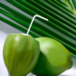 Tender Coconut Water - Freshly Extracted, Airtight Packaging for Long-lasting Freshness and Health Benefits