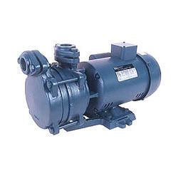 Domestic Monoblock Pump Usage: Water