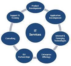 IT Service By Meril Life Science Pvt. Ltd.