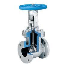 Flowchem Gate Valves