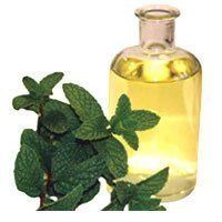 Mentha Piperita Oil