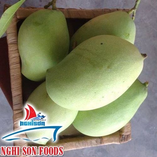 Fresh Mango High Quality 