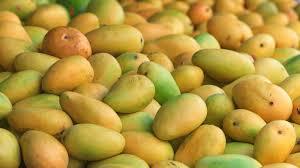 Embossing Fresh Mangoes