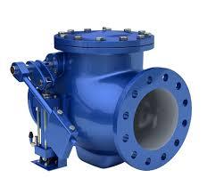 Swing Check Valves