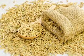 High Grade Paddy Seeds - Premium Quality, Highly Appreciated for Freshness and Safe Packaging