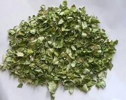 Dried Herbs Moringa Oleifera